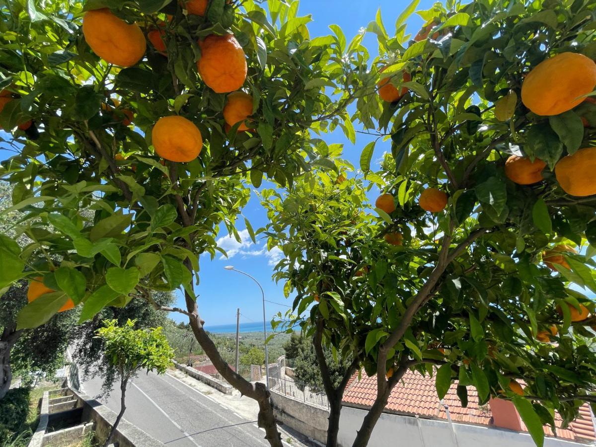Villetta - Qui Dove Il Mare Luccica - Affitti Brevi Italia Monte SantʼAngelo Exterior foto